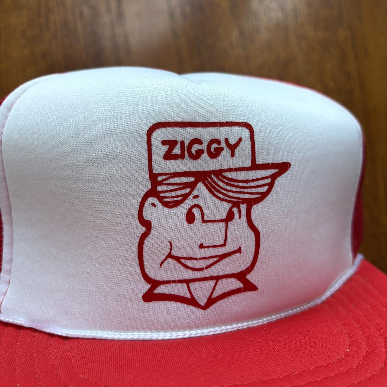 Vintage 90s USA Ziggy restaurant diner graphic trucker cap