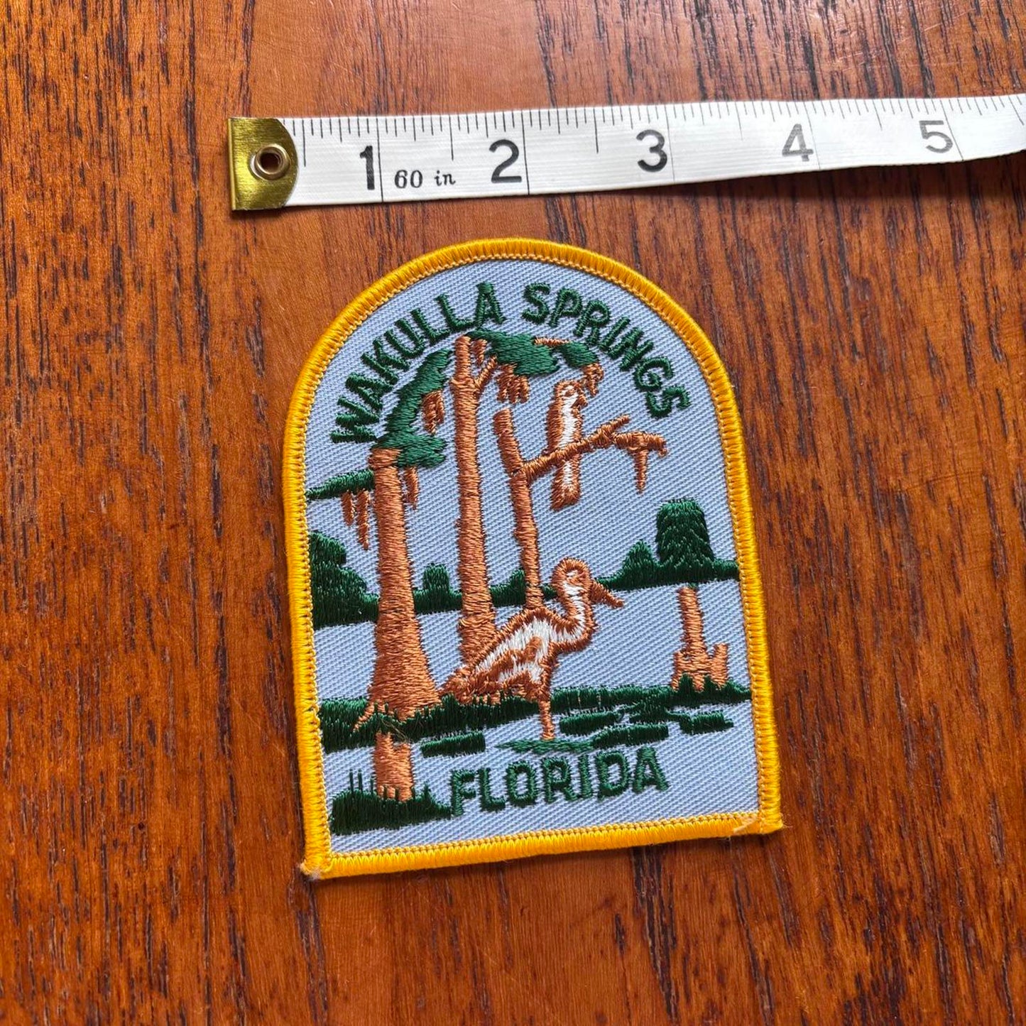 Vintage 90s USA Wakulla Springs Florida national park nature embroidered patch