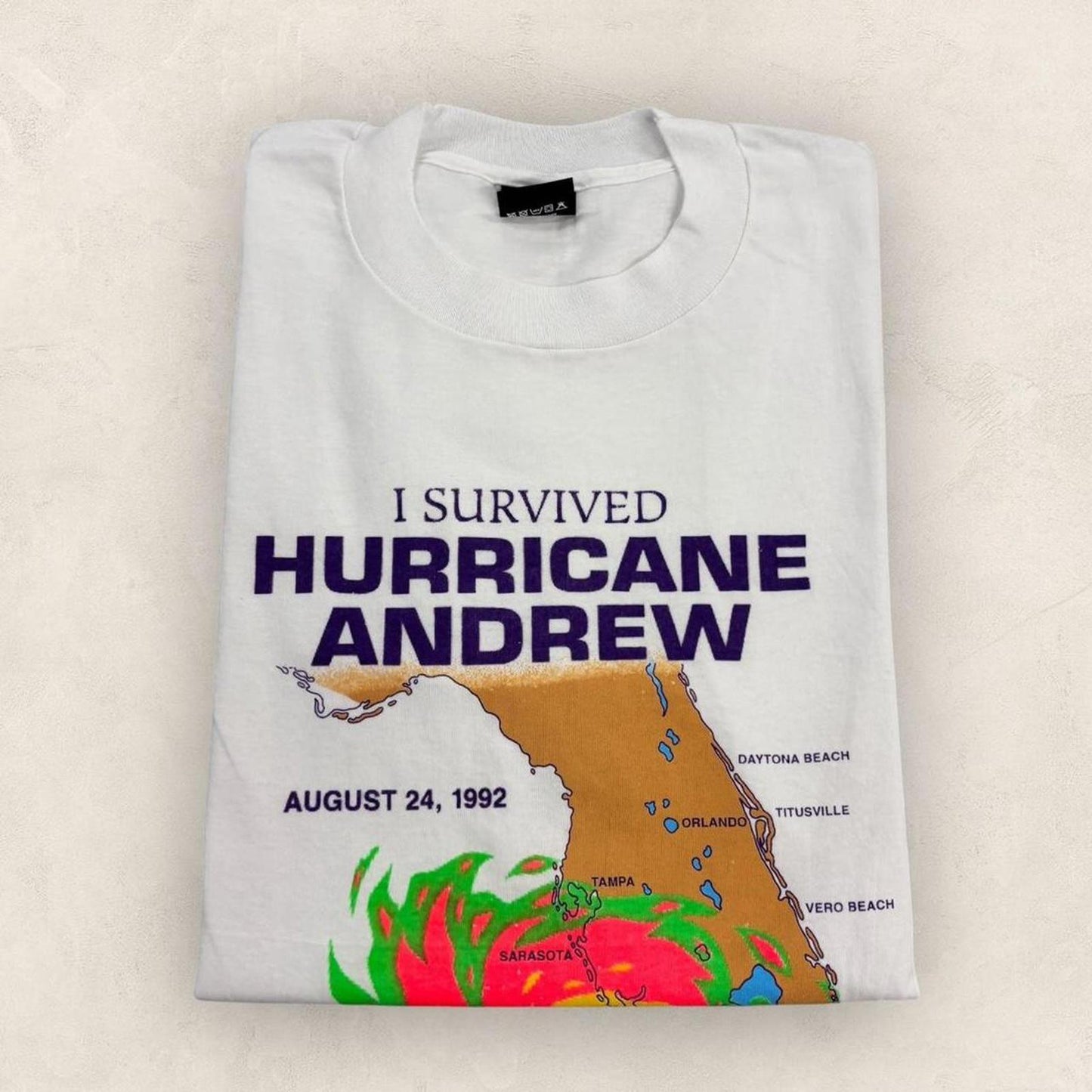 Vintage 90s USA I survived Hurricane Andrew natural disaster Florida t-shirt