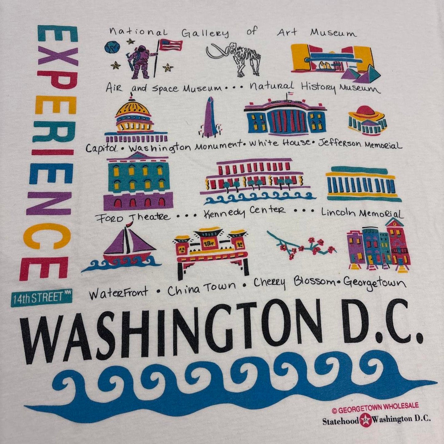 Vintage 90s USA experience Washington DC tourist souvenir graphic t-shirt