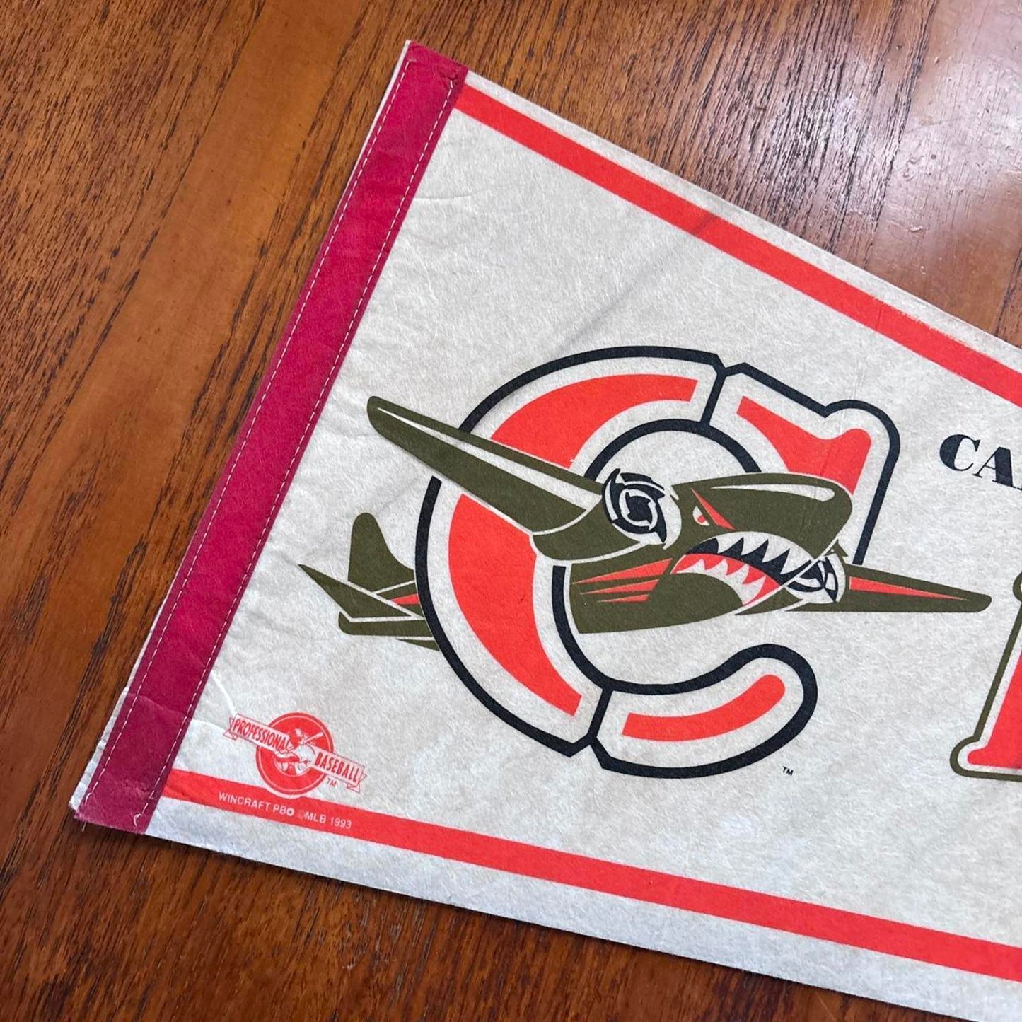 Vintage 90s USA Capital City South Carolina minor league baseball felt pennant