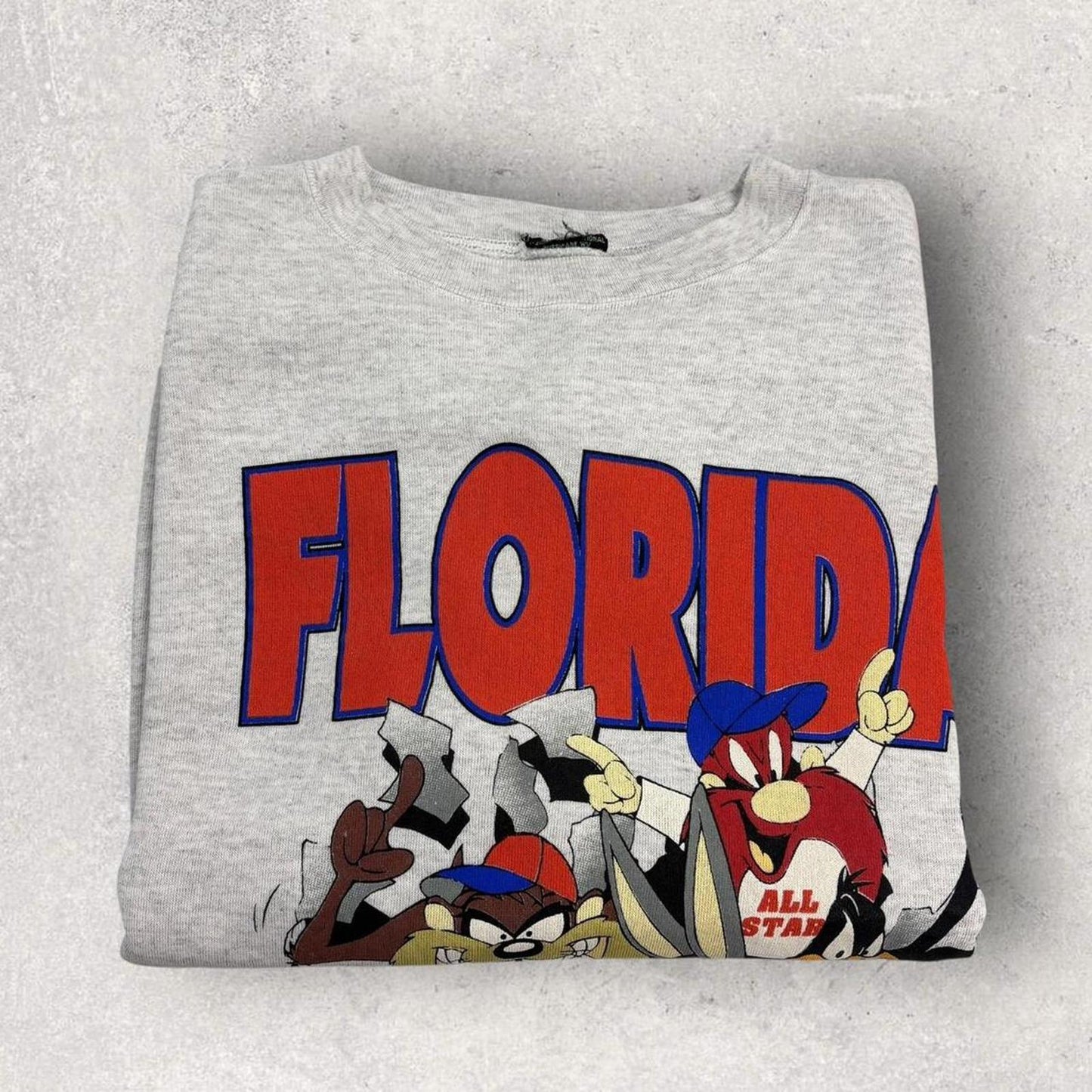 Vintage 90s USA Looney Tunes Florida State varsity graphic sweatshirt