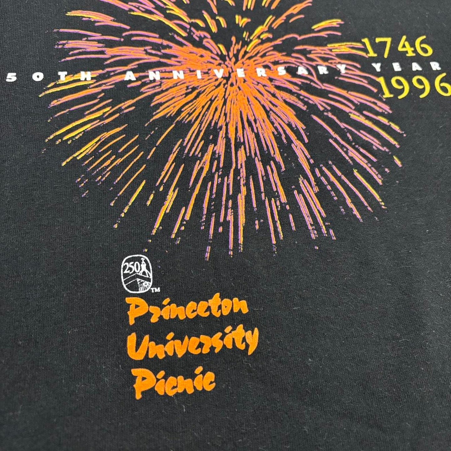 Vintage 90s USA Princeton University picnic New Jersey varsity graphic t-shirt