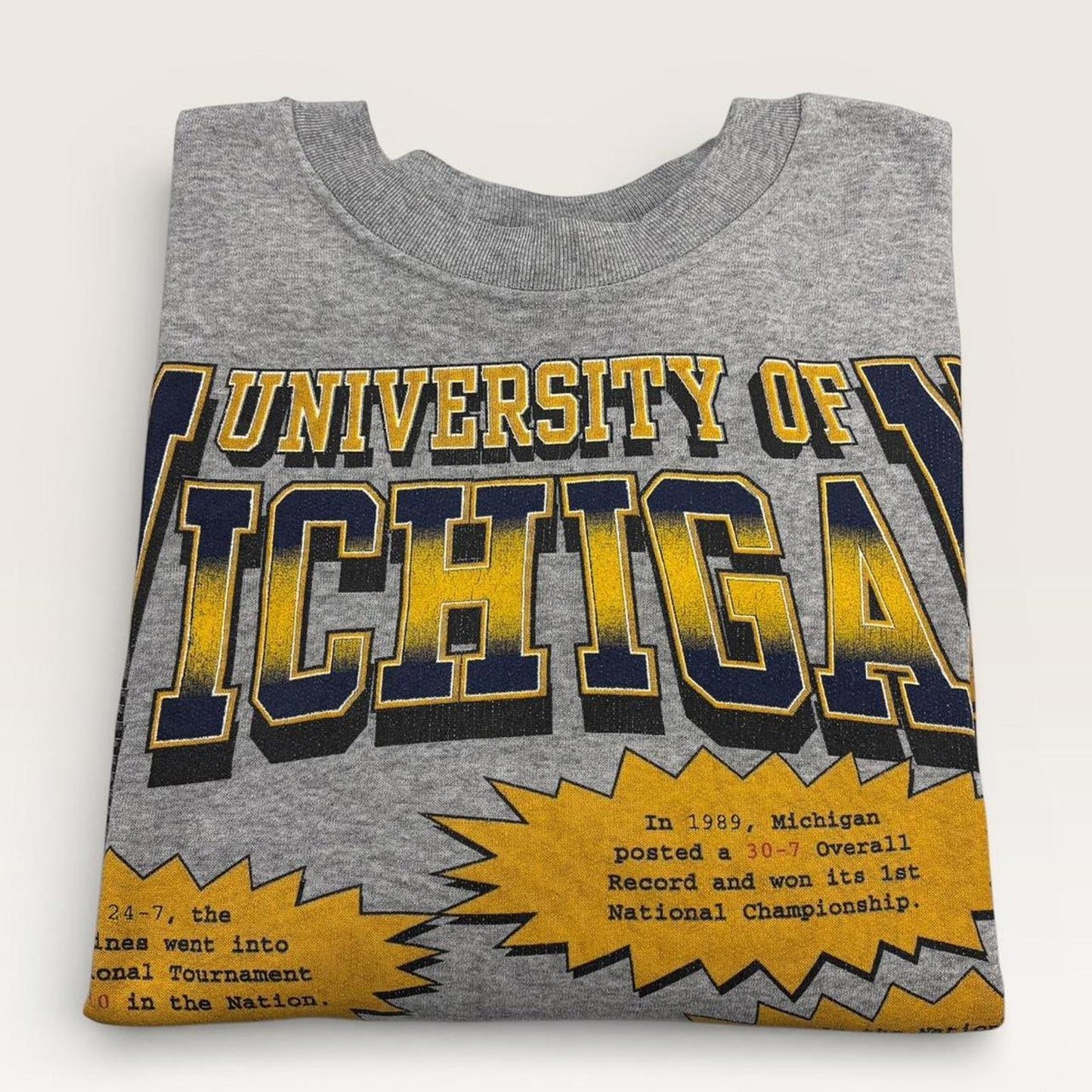 Vintage 90s USA University of Michigan Wolverines varsity sweatshirt