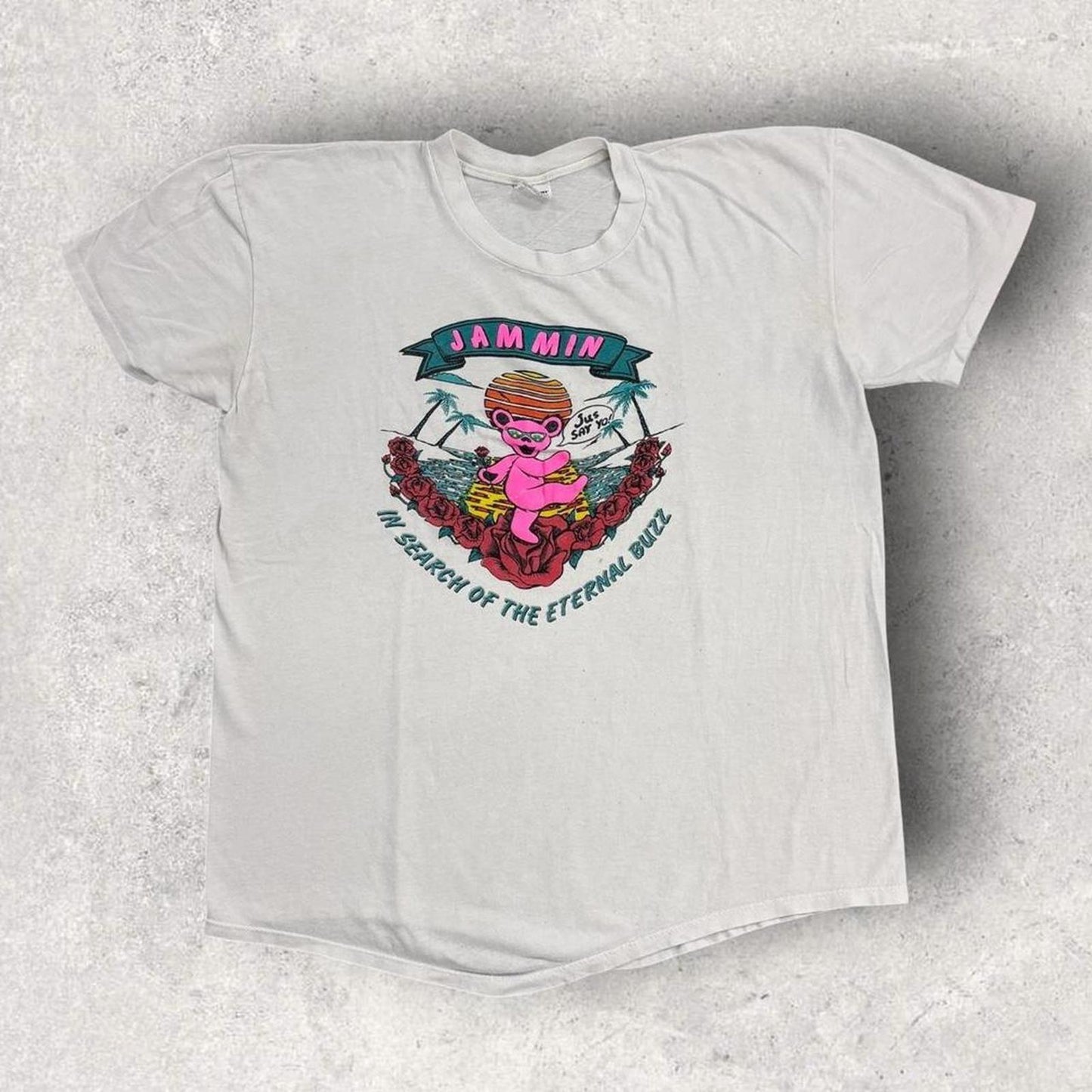 Vintage 90s USA The Grateful Dead in search of the eternal buzz band t-shirt