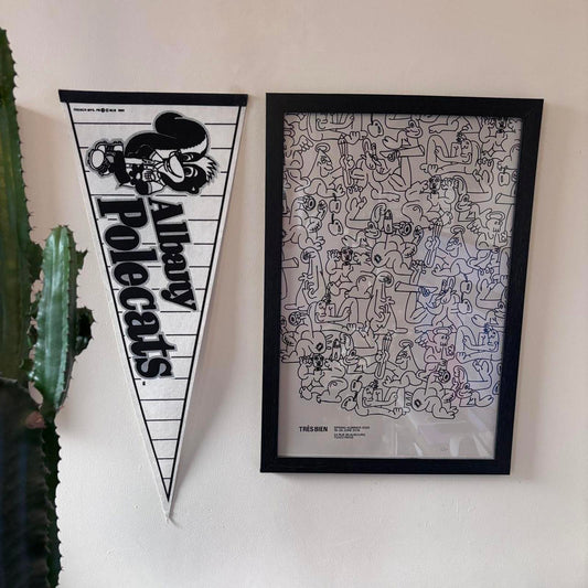 Vintage 90s USA Albany Polecats Georgia minor league baseball felt pennant