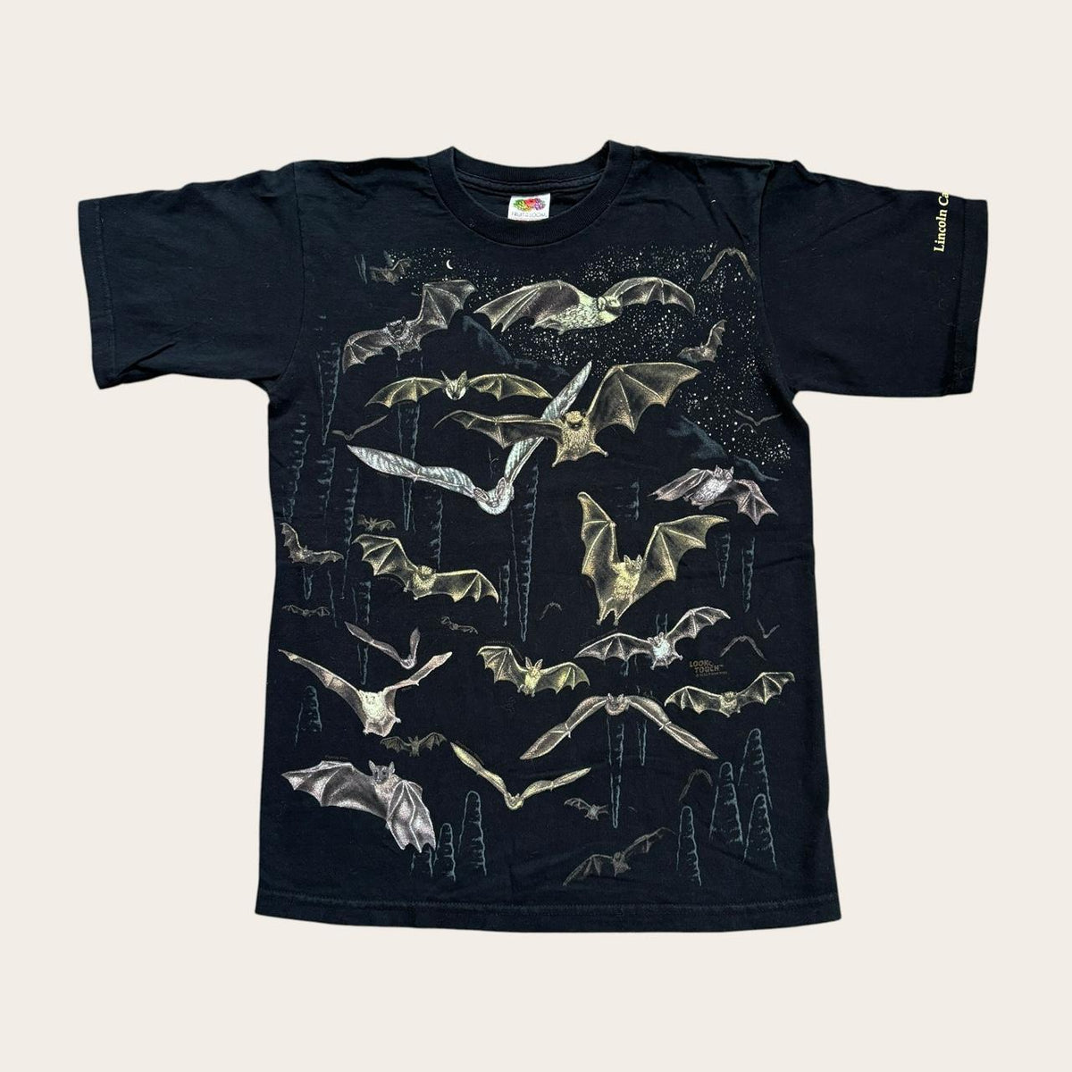 Vintage Y2K bats Lincoln caves Pennsylvania nature wildlife AOP t-shirt
