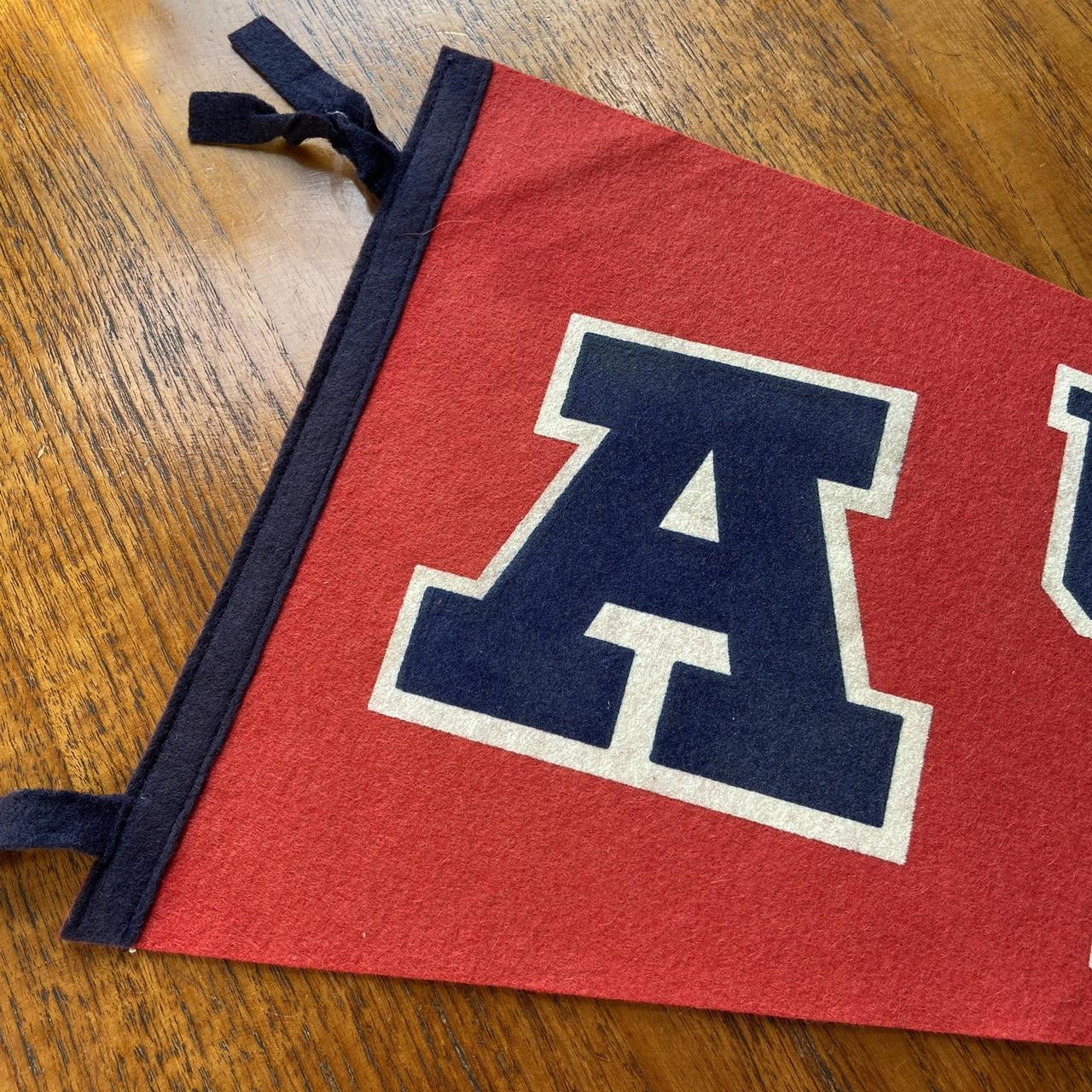 Vintage 80s USA University of Arizona varsity felt pennant