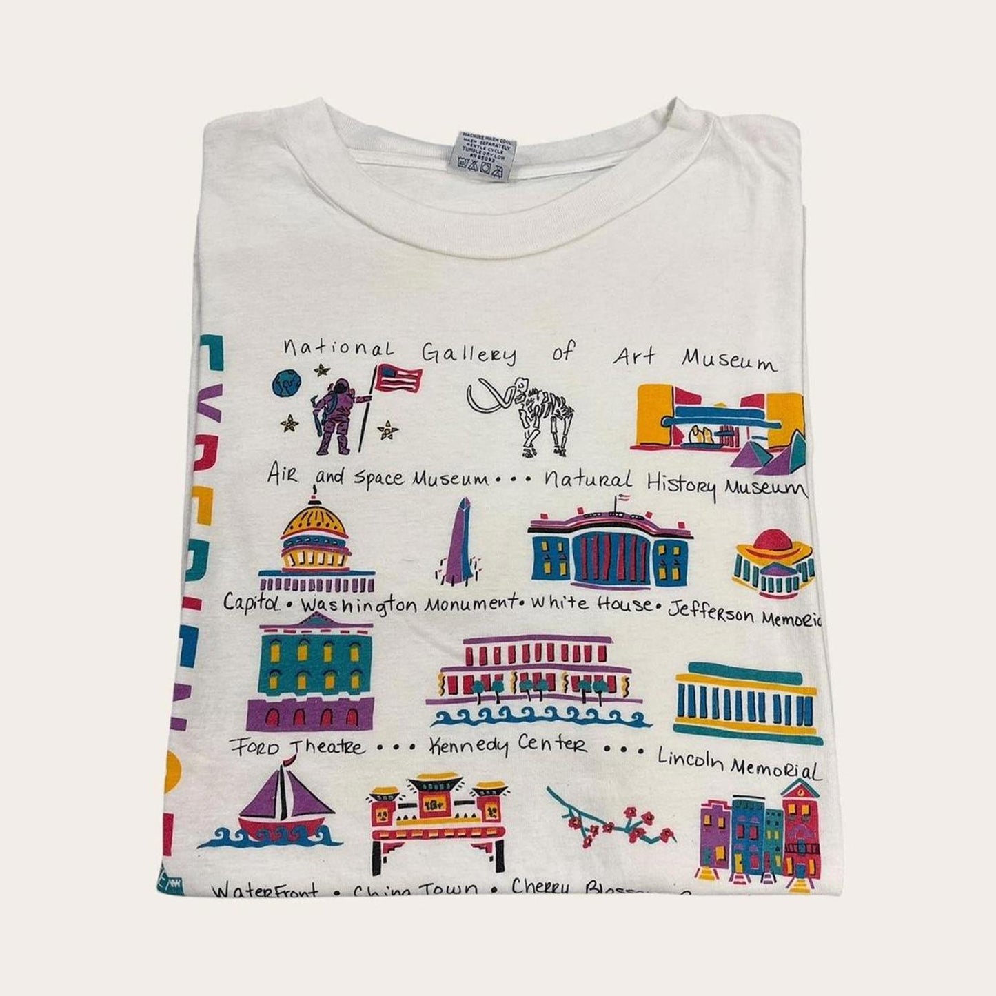Vintage 90s USA experience Washington DC tourist souvenir graphic t-shirt