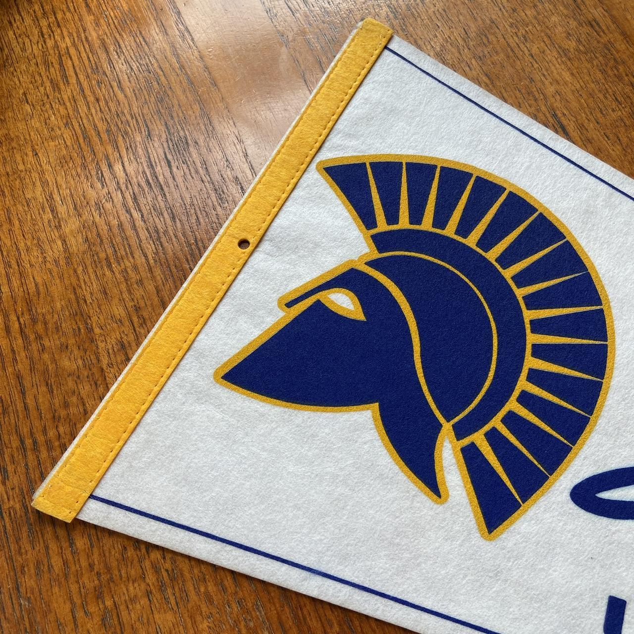 Vintage 90s USA San Jose State university Spartans varsity team pennant