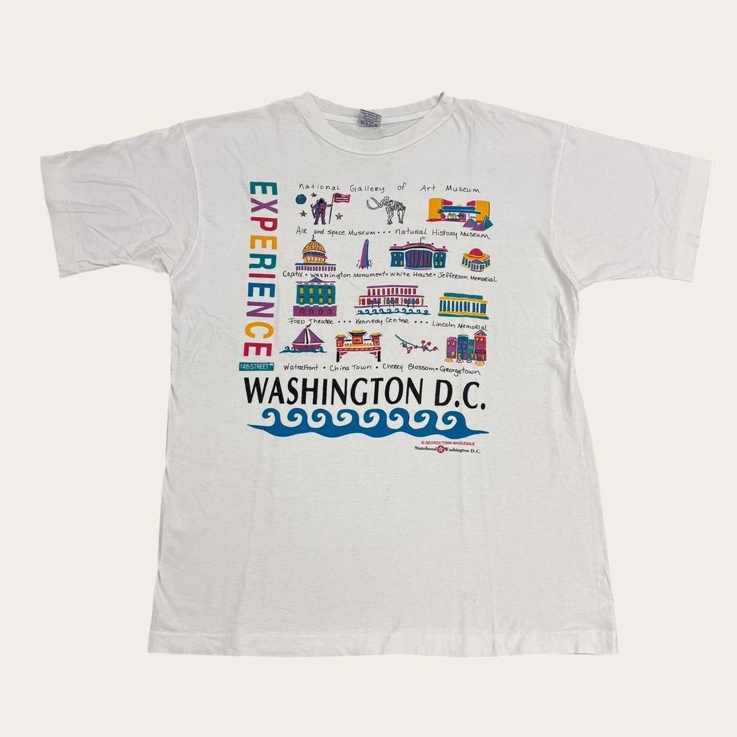 Vintage 90s USA experience Washington DC tourist souvenir graphic t-shirt