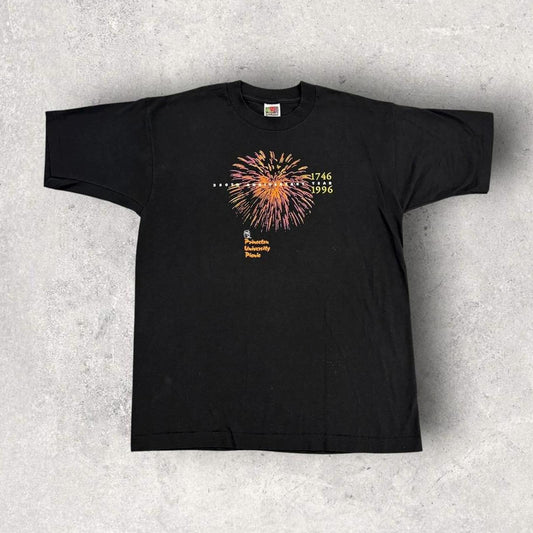 Vintage 90s USA Princeton University picnic New Jersey varsity graphic t-shirt