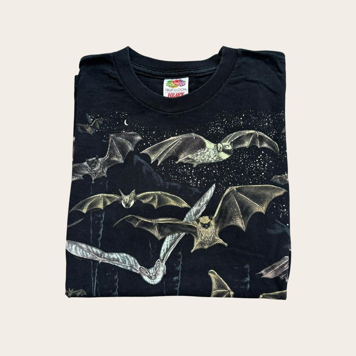 Vintage Y2K bats Lincoln caves Pennsylvania nature wildlife AOP t-shirt