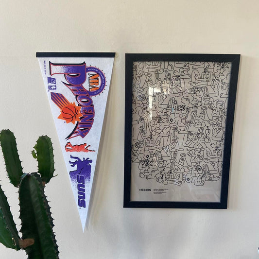 Vintage 90s USA Phoenix Suns NBA basketball felt pennant