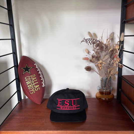 Vintage 90s USA East Stroudsburg warriors university of Pennsylvania varsity baseball cap