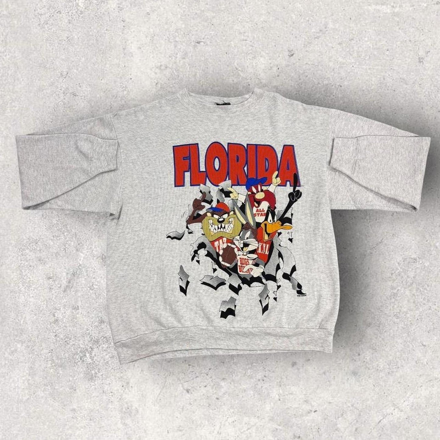 Vintage 90s USA Looney Tunes Florida State varsity graphic sweatshirt