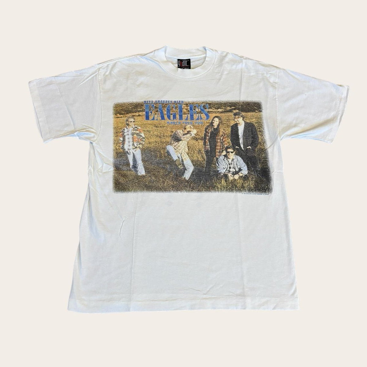 Vintage 90s USA Eagles hell freezes over world tour 96 concert rock band t-shirt