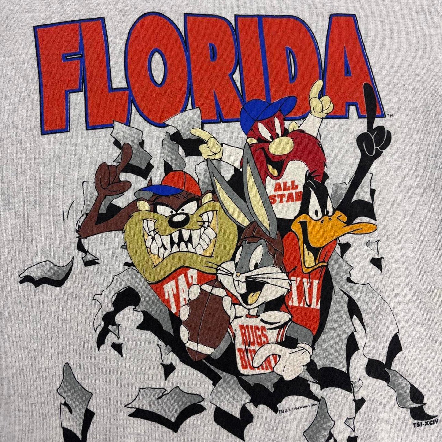 Vintage 90s USA Looney Tunes Florida State varsity graphic sweatshirt