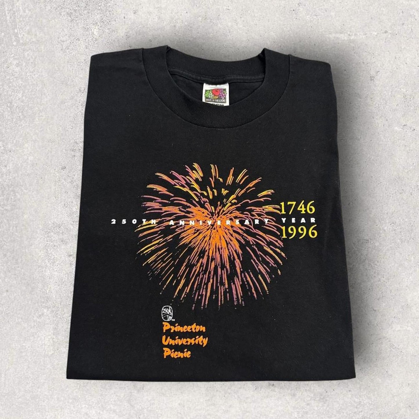 Vintage 90s USA Princeton University picnic New Jersey varsity graphic t-shirt
