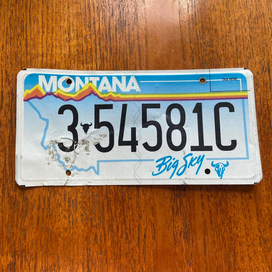 Vintage 90s USA Montana Big sky country American license plate