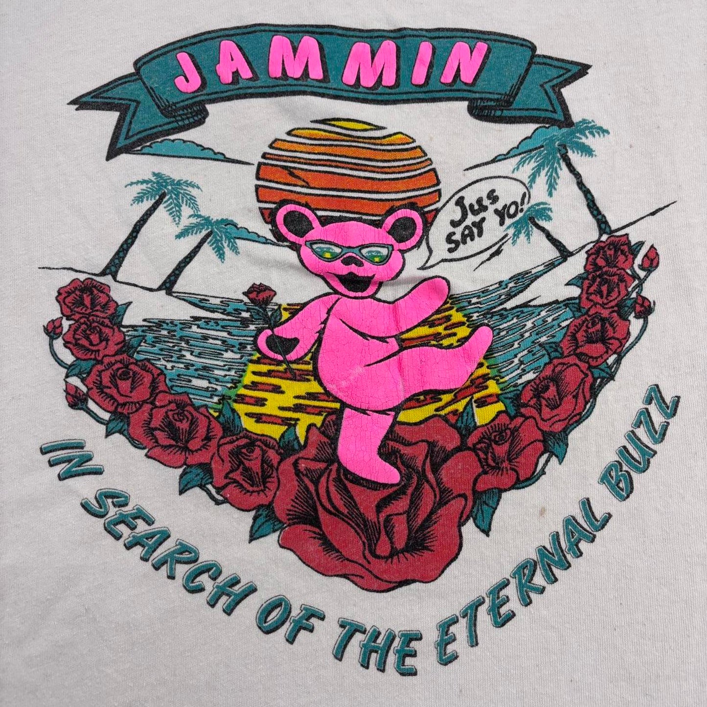 Vintage 90s USA The Grateful Dead in search of the eternal buzz band t-shirt