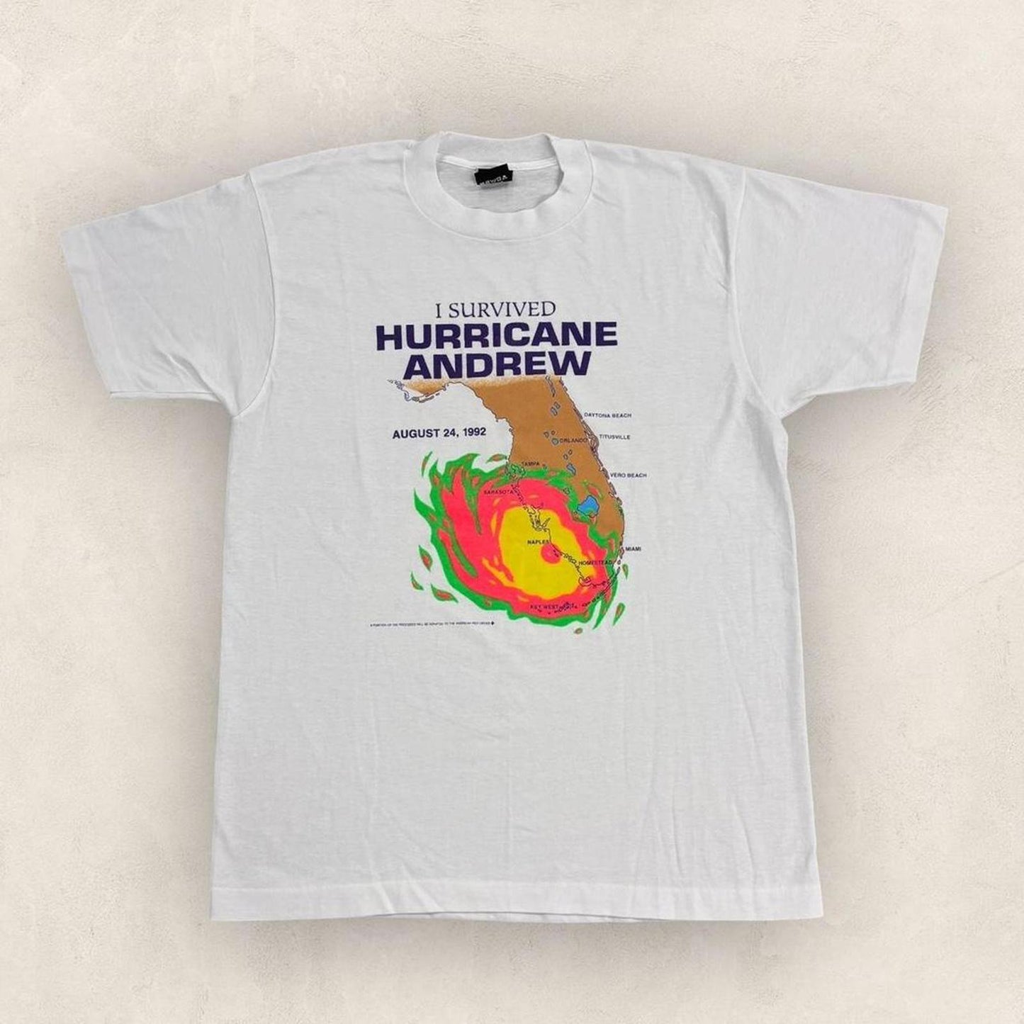 Vintage 90s USA I survived Hurricane Andrew natural disaster Florida t-shirt