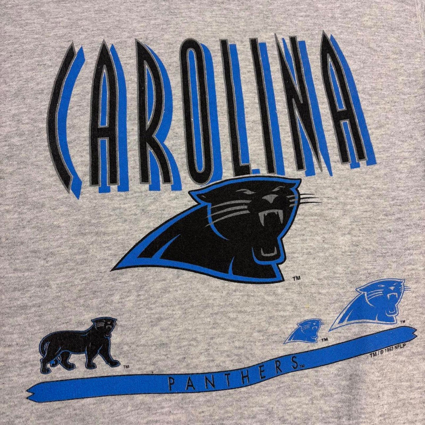Vintage 90s USA Carolina Panthers NFL American Football sweatshirt