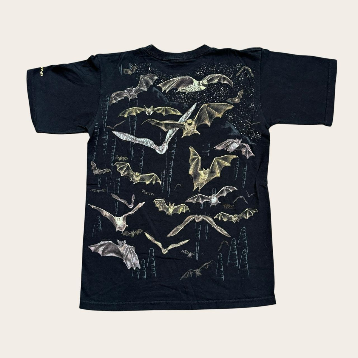 Vintage Y2K bats Lincoln caves Pennsylvania nature wildlife AOP t-shirt