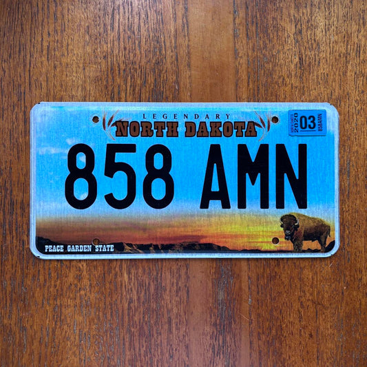 Vintage Y2K North Dakota peace garden state American license plate