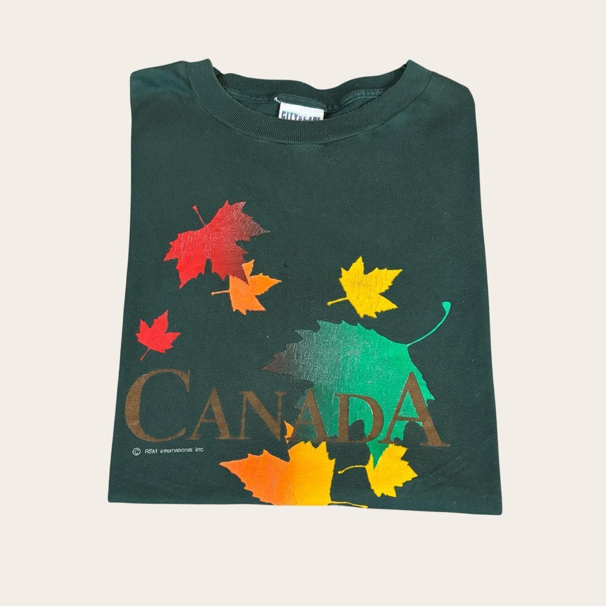 Vintage 90s Victoria Canada British Columbia autumn leaves souvenir t-shirt
