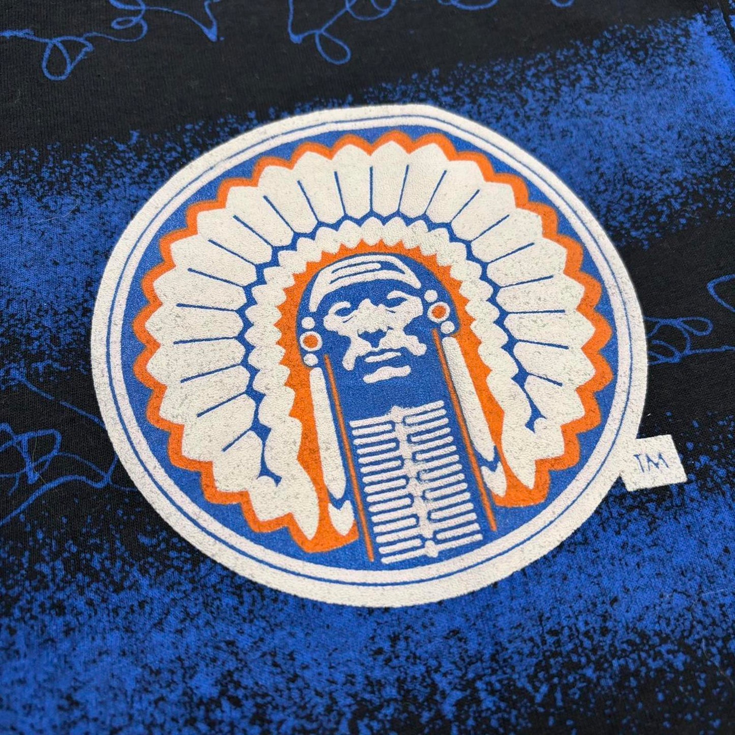 Vintage 90s USA university of Illinois fighting Illini varsity AOP t-shirt