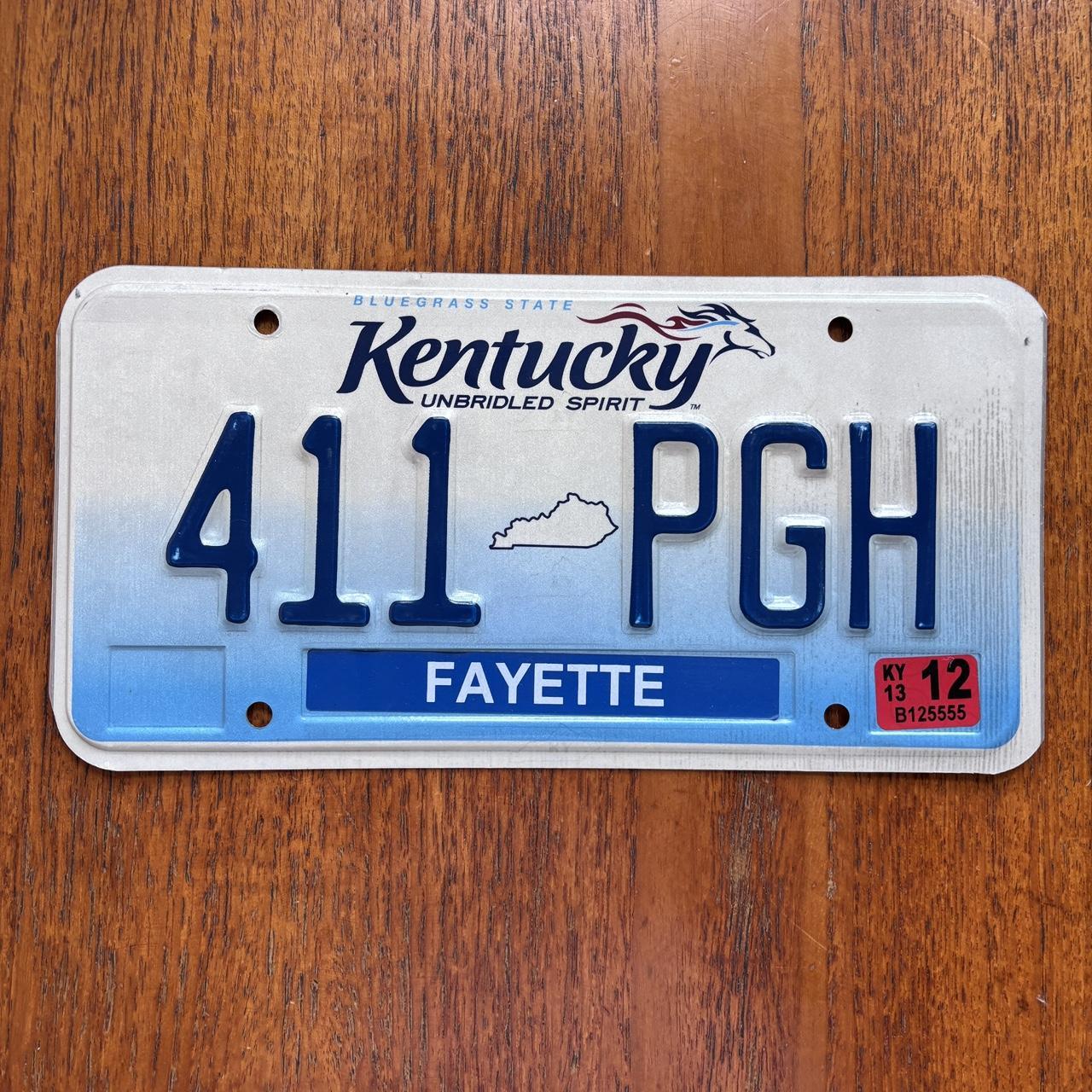 Vintage Y2K Kentucky state American license plate