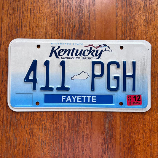 Vintage Y2K Kentucky state American license plate