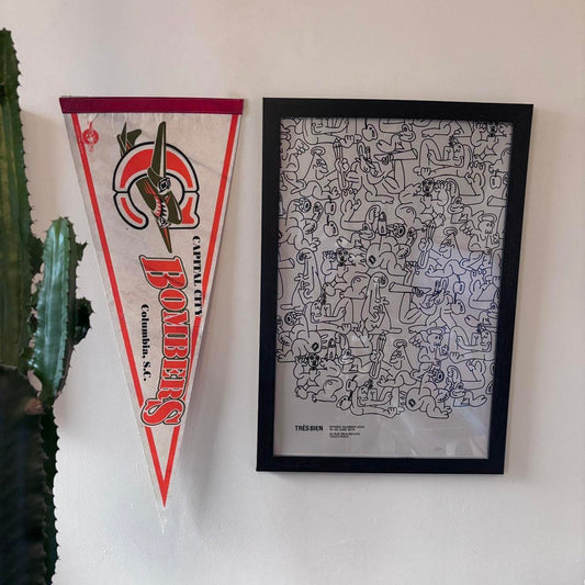 Vintage 90s USA Capital City South Carolina minor league baseball felt pennant