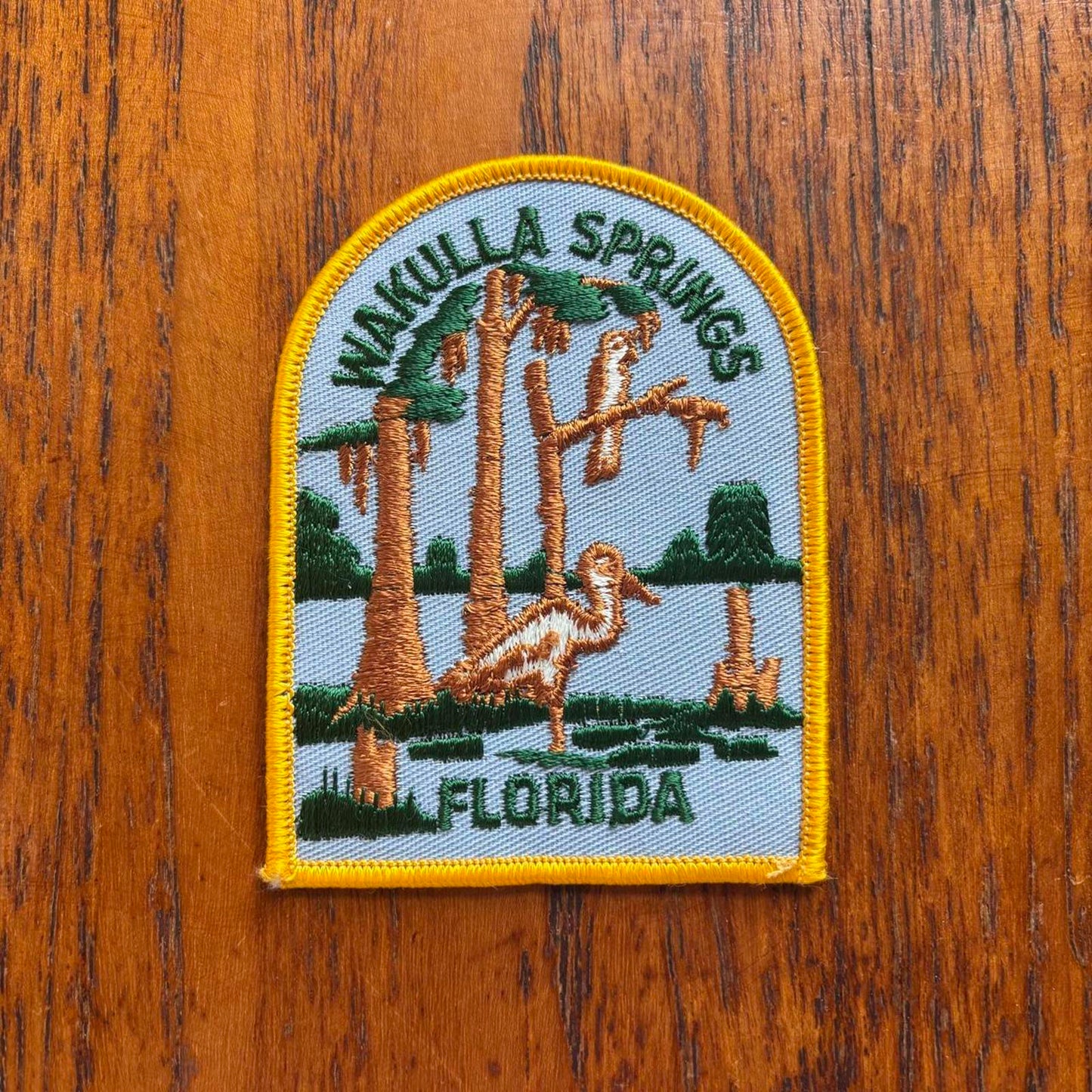 Vintage 90s USA Wakulla Springs Florida national park nature embroidered patch