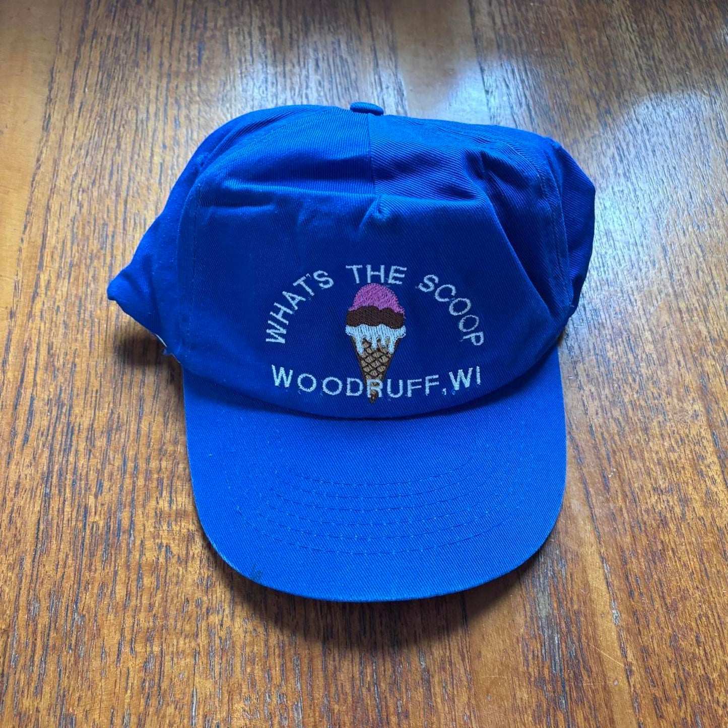 Vintage 90s USA ice cream shop Wisconsin humour promotional cap