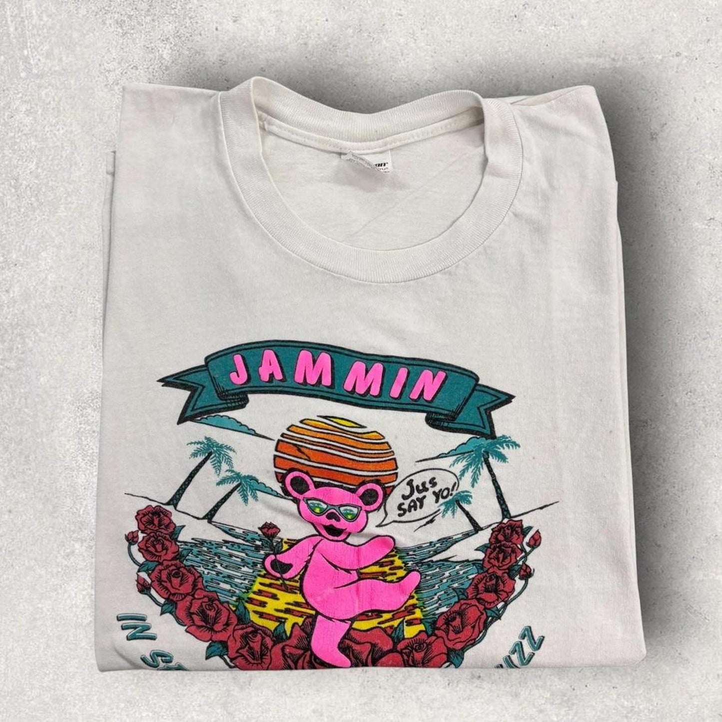 Vintage 90s USA The Grateful Dead in search of the eternal buzz band t-shirt