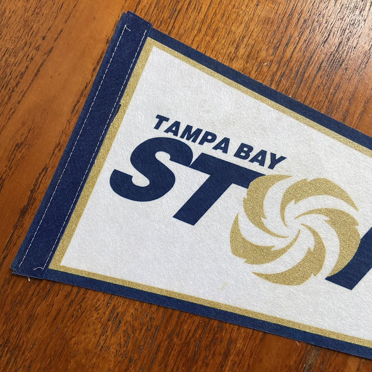 Vintage 90s USA Tampa Bay Storm AfL American Football felt pennant