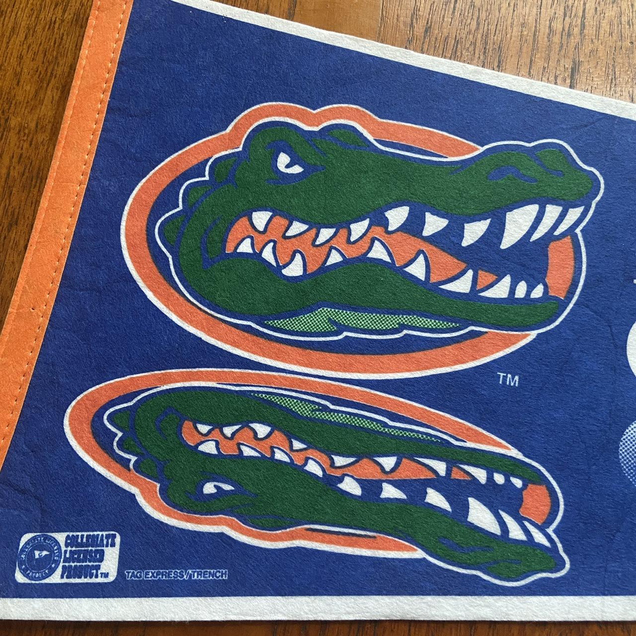 Vintage 90s USA university of Florida gators American football varsity felt pennant