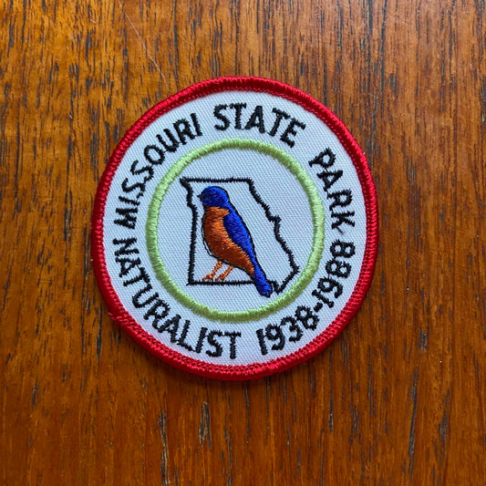 Vintage 90s USA patch