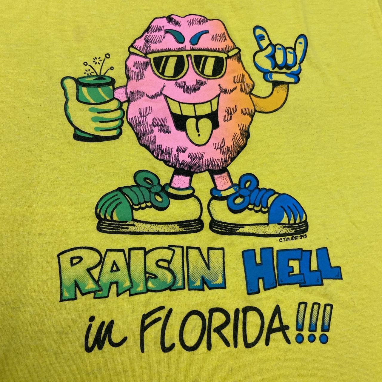 Vintage 80s USA Raisin Hell in Florida tourist souvenir promotional graphic t-shirt